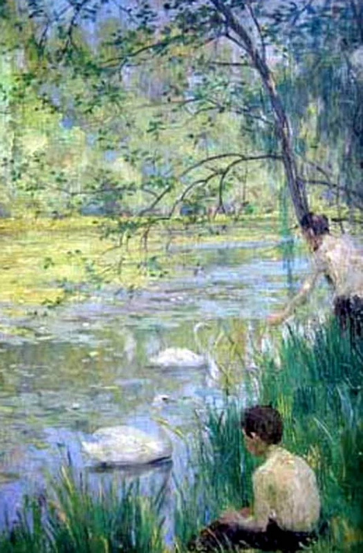 I cigni nello stagno